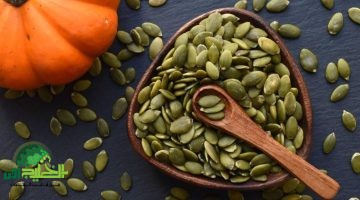 فوائد اللب الأبيض المذهلة. استخدامات يومية ستجعله عنصرًا أساسيًا في حياتك
