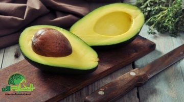 فوائد تناول الأفوكادو أثناء الحمل حماية من حساسية الطعام للرضع1
