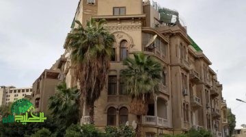 قانون الإيجار القديم . المجلس القومي يدافع عن حقوق ذوي الإعاقة