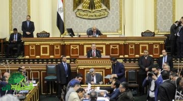 قانون مجلس الشيوخ المصري . التفاصيل والتوقعات للانتخابات القادمة1
