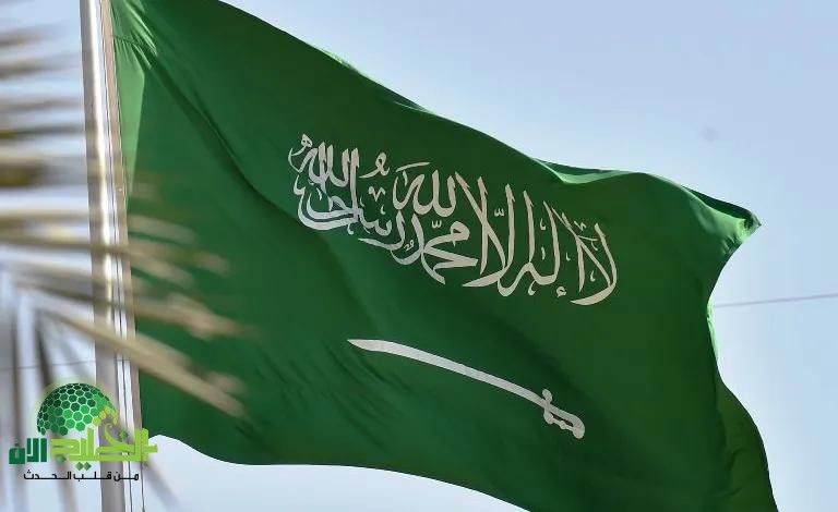قرار ملكي بإلغاء سعودة 13 مهنة في السعودية.. فتح باب التوظيف للوافدين مجددًا
