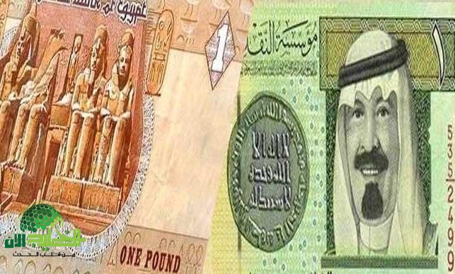 قفزة غير متوقعة في سعر الريال السعودي أمام الجنيه المصري اليوم.. أرقام صادمة في السوق والبنوك