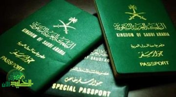 كيفية الإبلاغ عن فقدان جواز السفر عبر منصة أبشر. دليل شامل خطوة بخطوة 1 1