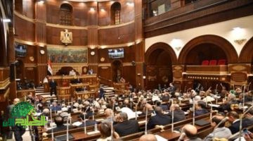 مجلس الشيوخ يناقش اليوم تجديد الخطاب الديني ومكافحة التطرف في مصر1