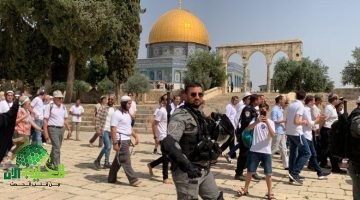 مستوطنون يقتحمون المسجد الأقصى تحت حماية مشددة من شرطة الاحتلال1