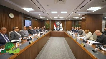مصر . التوسع الخارجي وإيرادات قوية في 2024