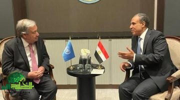 مصر تعزز التعاون مع الأمم المتحدة تفاصيل لقاء وزير الخارجية وسكرتير الأمم المتحدة1