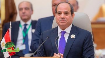 مصر في مواجهة إعادة تشكيل الشرق الأوسط رؤية استراتيجية لحماية الأمن القومي ودعم فلسطين