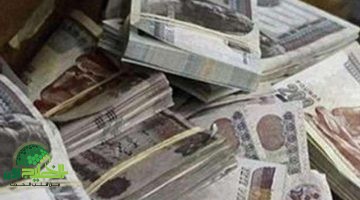 معاشات مايو 2025 تصبهر الجيوب. وزيادة جديدة 15 تطرق الأبواب في يوليو