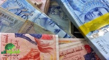 مفاجأة سارة للمتقاعدين. زيادة غير مسبوقة في الرواتب اعتبارًا من النصف الثاني لـ 2025
