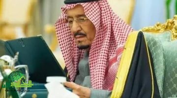 مكرمة ملكية سعودية 2025. كل ما تحتاج معرفته عن الدفعة الجديدة للضمان الاجتماعي