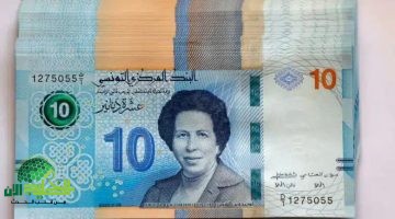 منحة 300 دينار تونس. دليل شامل للتسجيل والاستفادة من الدعم الحكومي