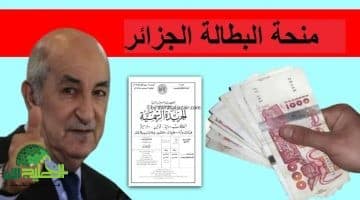 منحة البطالة 2025 في الجزائر. كل ما تحتاج معرفته عن الشروط الجديدة وآلية التقديم