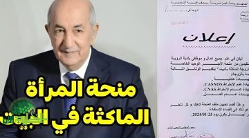 منحة المرأة الماكثة في المنزل. فرصة ذهبية لتحسين المستوى المعيشي دليل شامل 2025