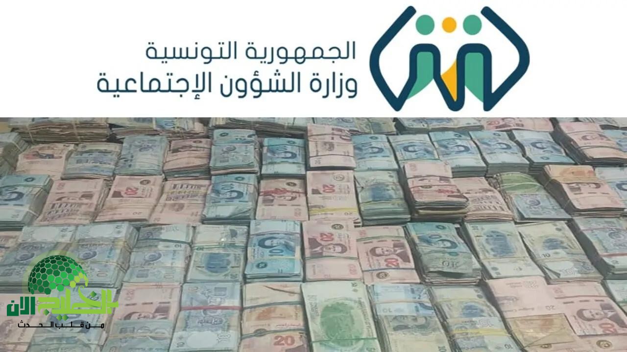 منحة تونس 2025 الجديدة..دعم فوري للأسر محدودة الدخل بخطوات تقديم إلكترونية سهلة