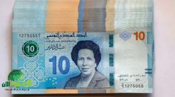 منحة تونس 2025 الجديدة.دعم فوري للأسر محدودة الدخل بخطوات تقديم إلكترونية سهلة