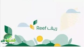 منصة ريف 1446 تفتح أبواب الدعم للأسر المنتجة بشروط ميسّرة