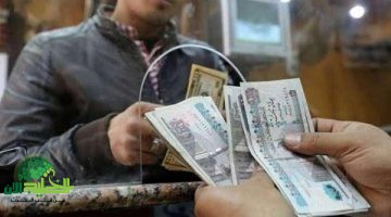 موعد صرف تكافل وكرامة يونيو 2025. دعم اجتماعي في الطريق وفلوس جاية
