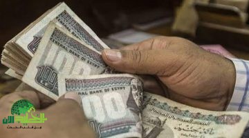 موعد صرف معاشات يونيو 2025 رسميًا . كل ما تحتاج معرفته1