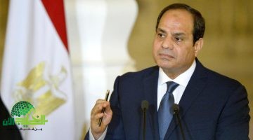 موقف مصر من تهجير الفلسطينيين وجهود وقف إطلاق النار في غزة1