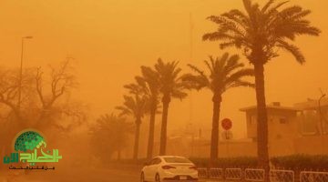 هل هناك عاصفة تُدعى شيماء تضرب مصر؟ الأرصاد توضح الحقيقة الكاملة