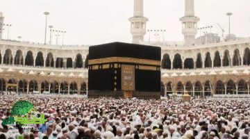 وزارة الحج والعمرة تعلن شرطًا جديدًا لأداء الحج 2025. تطعيم الحمى الشوكية إلزامي لجميع الحجاج