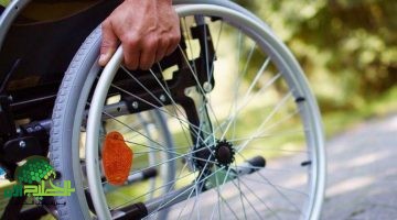 وزارة الصحة تكشف عن تعاون استراتيجي مع اليونيسف لدعم الأطفال ذوي الاحتياجات الخاصة1