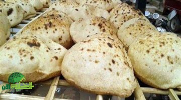 أسعار الخبز في مصر اليوم الإثنين 2 يونيو 2025. استقرار رغم التقلبات