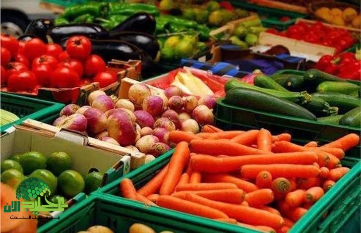 أسعار الخضروات والفواكه اليوم في مصر.. دليل شامل لأسعار السوق [2025]