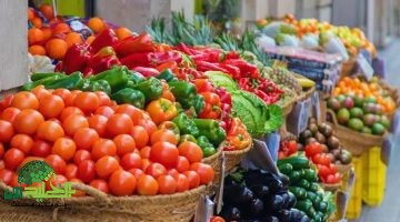أسعار الخضروات والفواكه في مصر اليوم الأربعاء 4 يونيو 2025. استقرار في الأسعار رغم الطلب المتزايد