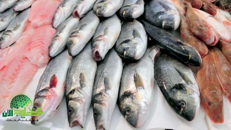 أسعار السمك اليوم الجمعة 27 يونيو 2025.. استقرار نسبي في الأسواق المصرية