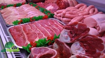 أسعار اللحوم الحمراء اليوم السبت 14 يونيو 2025. استقرار في الأسواق وبدائل بأسعار أقل عبر المنافذ الوطنية