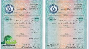 استخراج شهادة الميلاد الرقمية 2025. دليل شامل للحصول عليها من الموبايل بسهولة