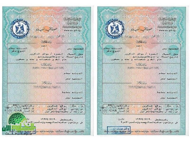 استخراج شهادة ميلاد 2025 إلكترونيًا عبر بوابة مصر الرقمية.. دليلك الكامل للخطوات والشروط