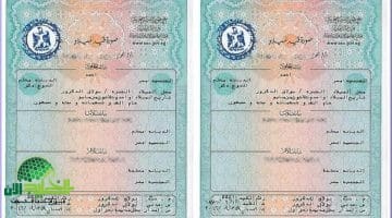 استخراج شهادة ميلاد 2025 من موبايلك خلال دقائق. كل ما تحتاج معرفته عن الخدمة الرقمية الجديدة