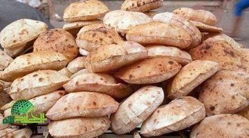 استقرار أسعار العيش اليوم الخميس 12 يونيو 2025. تعرف على أحدث التفاصيل