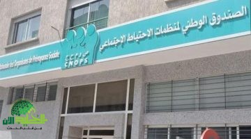 اعتماد شهادة جديدة عبر موقع كنوبس المغرب. دليلك الكامل للخطوات الرقمية