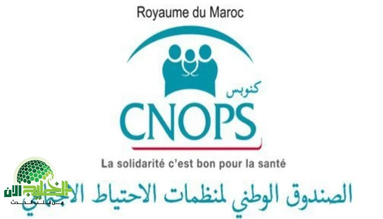 اعتماد شهادة جديدة عبر موقع كنوبس المغرب.. دليلك الكامل للخطوات الرقمية