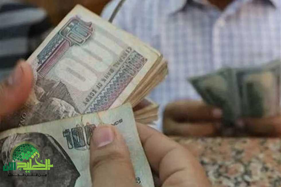 اعرف موعد صرف رواتب الموظفين في يونيو 2025 وخطوات الاستعلام بسهولة وأمان