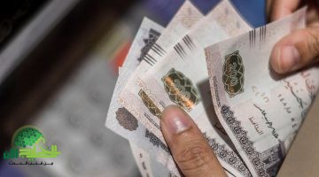 التخصصات المطلوبة في الإمارات 2025. دليل شامل لأفضل فرص العمل