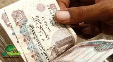 الحقيقة الكاملة حول تبكير معاشات يوليو 2025. توضيح رسمي من الهيئة