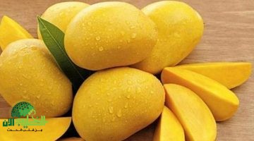 المانجو طوال العام. كيف تحفظها في الفريزر دون أن تفقد نكهتها؟