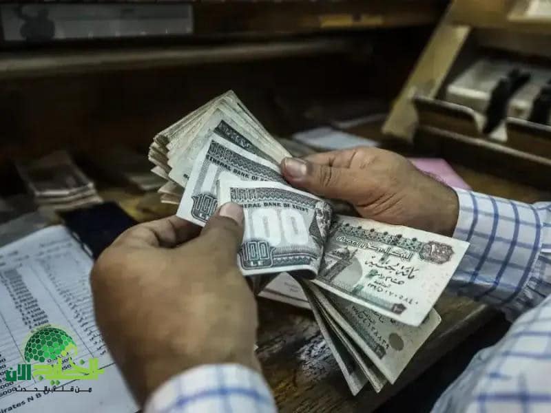 المرتب اتغير.. جدول الرواتب الجديد لموظفي الدولة بعد الزيادة في يوليو 2025