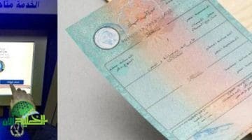 الملف بقى إلكتروني تمامًا. تفعيل فوري لشهادة الميلاد الرقمية للأسر الحاضنة