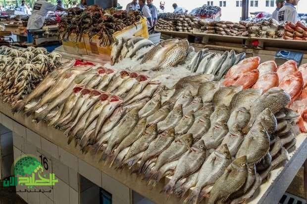 الهام اليوم  استقرار في أسعار السمك بسوق العبور والأسواق المحلية الاثنين 16 يونيو 2025.. تعرف على التفاصيل