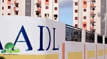 الوكالة تعلن رسمياً. أسماء المقبولين في عدل 3 الجزائر 2025 متاحة الآن عبر