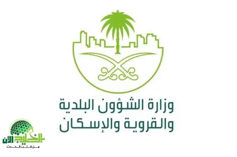 تجديد الشهادة الصحية عبر منصة بلدي 2025.. خطوات سهلة وخدمة فورية
