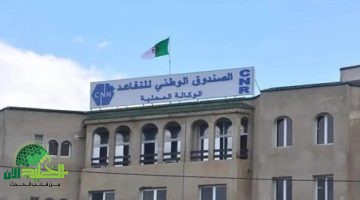 تجديد الوثائق إلكترونيًا في الصندوق الوطني للتقاعد. دليل شامل خطوة بخطوة