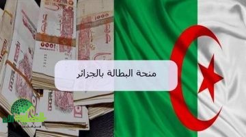 تجديد منحة البطالة في الجزائر 2025. خطوات سهلة وفرص دعم مضمونة