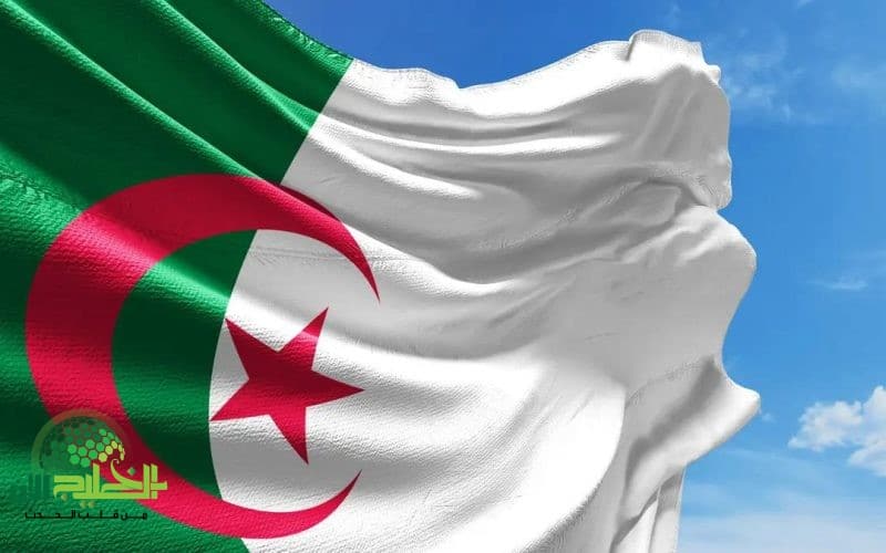 تحديثات تقاعد الجزائر 2025. إصلاحات جديدة لضمان الراحة والدعم للمتقاعدين